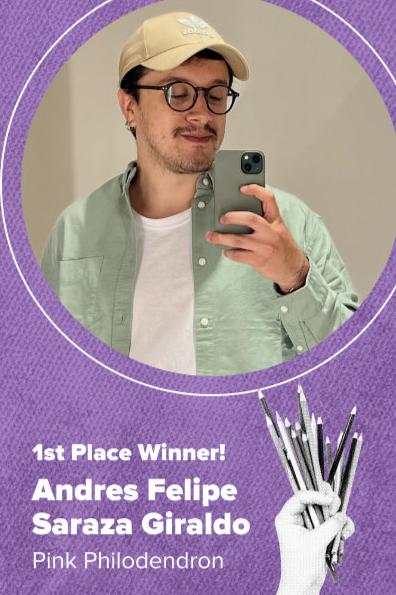 Design a sock contest