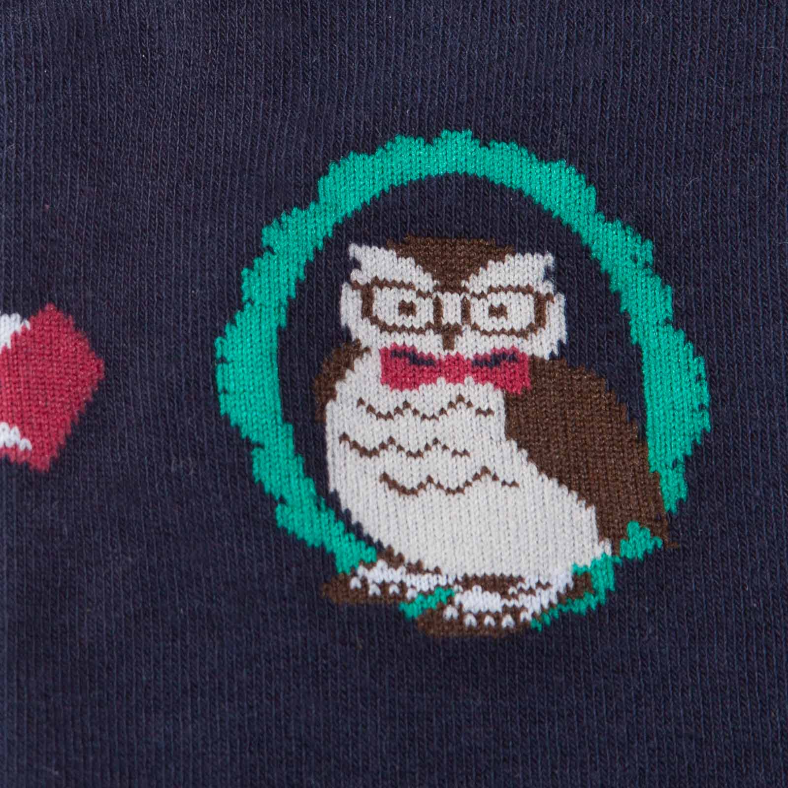Meet the Sock: Wise Owl