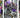 What Makes Sock It to Me Socks So Good? Quality, Comfort, and Seriously Fun Designs 