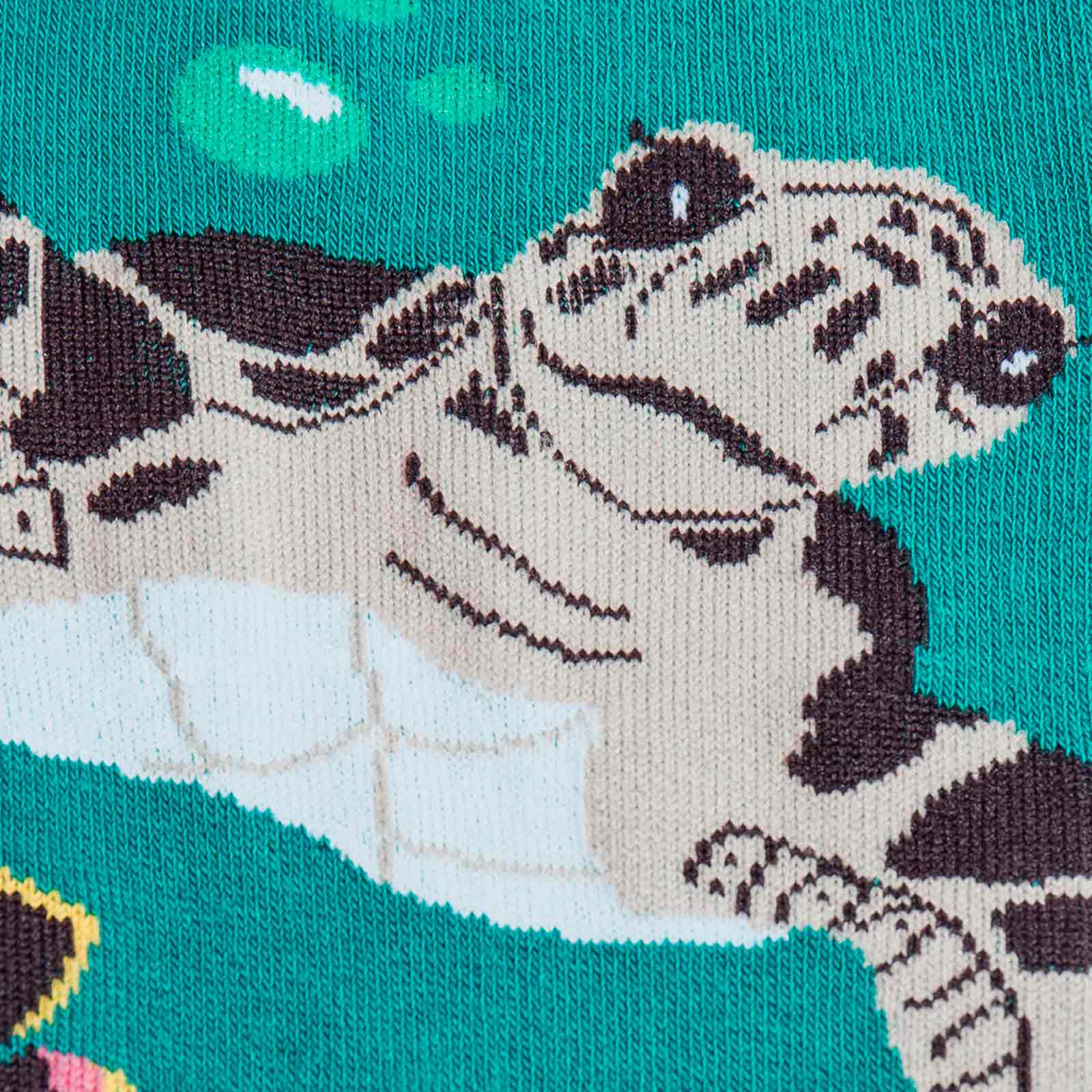 Meet the Sock: Sea Turtle