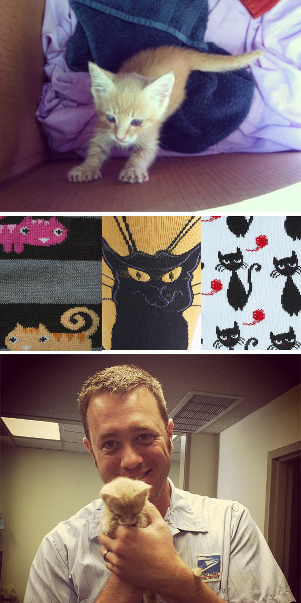 Office Kitten: Attica!